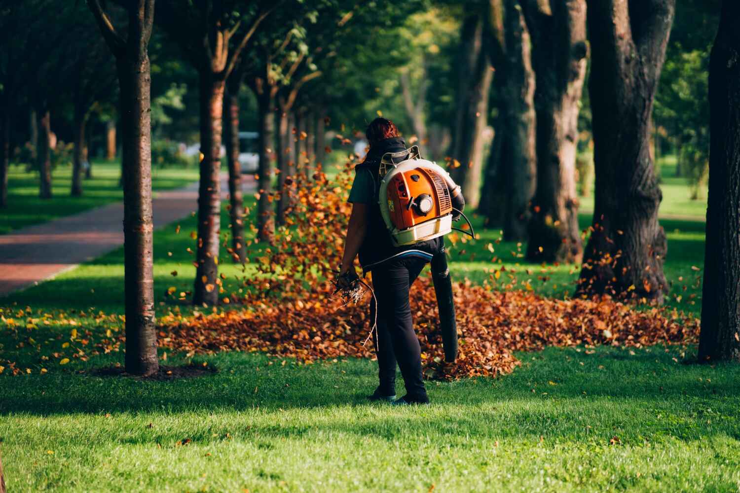 Best Affordable Tree Cutting  in Luling, TX